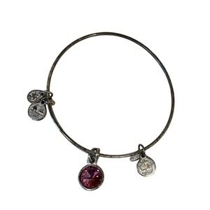 Alex and Ani Silver Tone Pink Crystal Expandable Bangle Bracelet Charm Jewelry